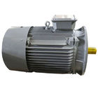 Brushless AC Three Phase Induction Motor 15KW 20HP 380V 400V 3000RPM Y2-160L-4