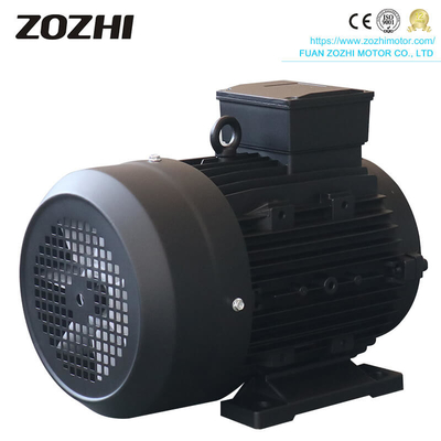 IP55 Protection Class Pressure Washing Machine Hollow Shaft Motor With IC411 Cooling