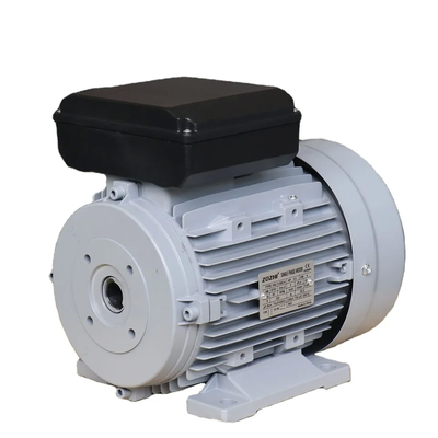 24mm Hollow Shaft Motor With 100mm Shaft Length For Demanding Environments