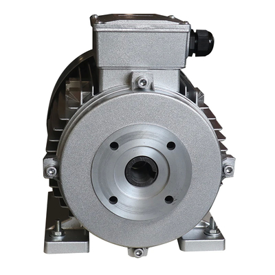 5.5KW Hollow Shaft Motor For Industrial Grade High Pressure Pump